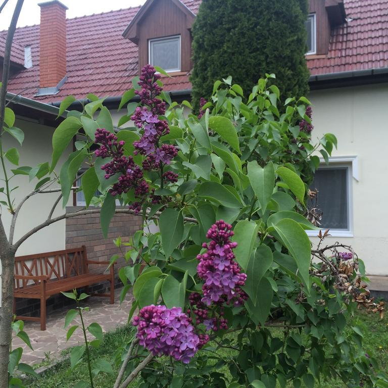BogácsHarmonia Panzio公寓 外观 照片